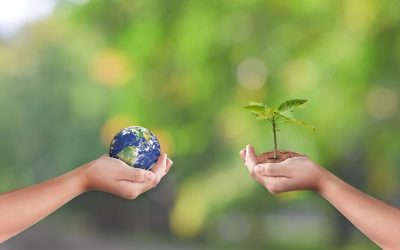 LiveConsent engagé pour la transition écologique