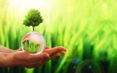 Transition vers une économie verte : comment la signature électronique peut-elle aider ?